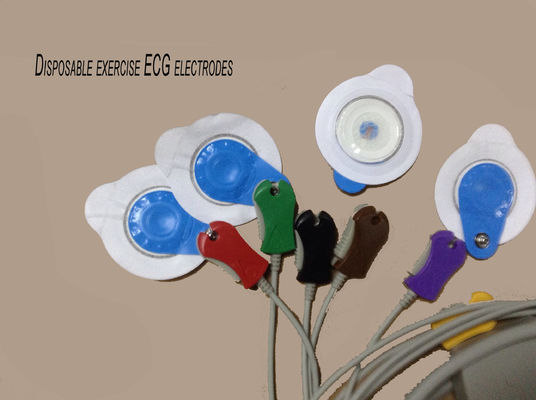 Stress Test ECG With Convenient And Small Grey Box Collection ECG Options Treadmill/Ergometer